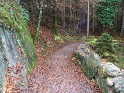 Image on trail