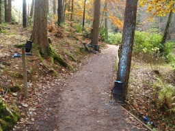 Image on trail