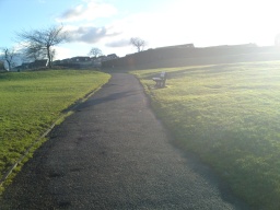 Image on trail