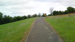 Image on trail