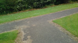 Image on trail