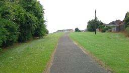 Image on trail