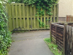 Image on trail