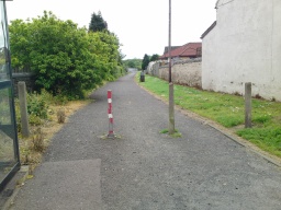 Image on trail