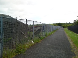 Image on trail