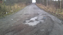 Image on trail
