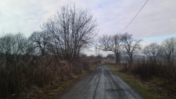 Image on trail
