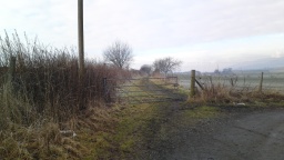 Image on trail