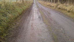 Image on trail