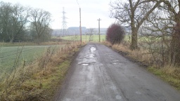 Image on trail