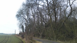 Image on trail