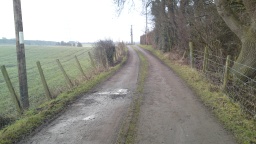 Image on trail