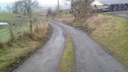Image on trail