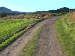 Image on trail