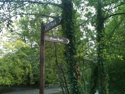 Image on trail