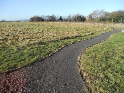 Image on trail