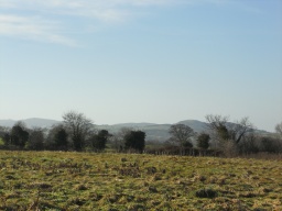 Image on trail