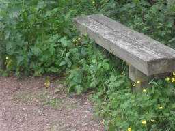 Image on trail