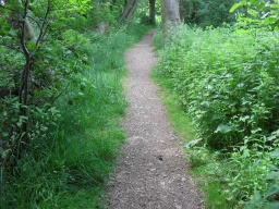 Image on trail