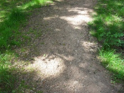 Image on trail