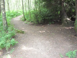 Image on trail