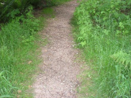 Image on trail