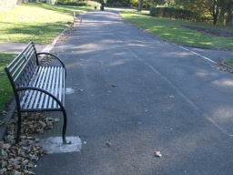 Image on trail