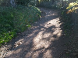 Image on trail