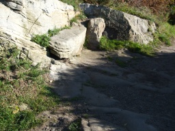 Image on trail