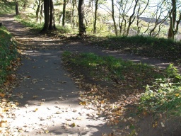 Image on trail