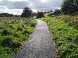 Image on trail