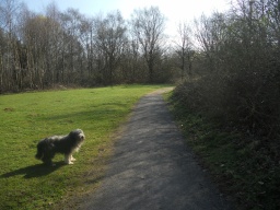 Image on trail