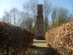 Image on trail