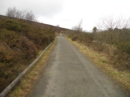 Image on trail