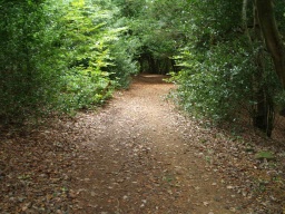 Image on trail