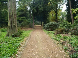Image on trail