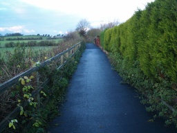 Image on trail