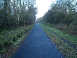 Image on trail