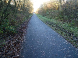 Image on trail