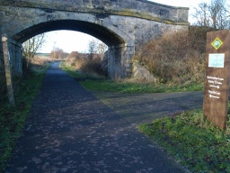Image on trail