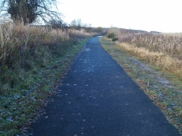 Image on trail