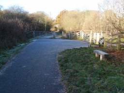 Image on trail