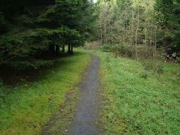 Image on trail